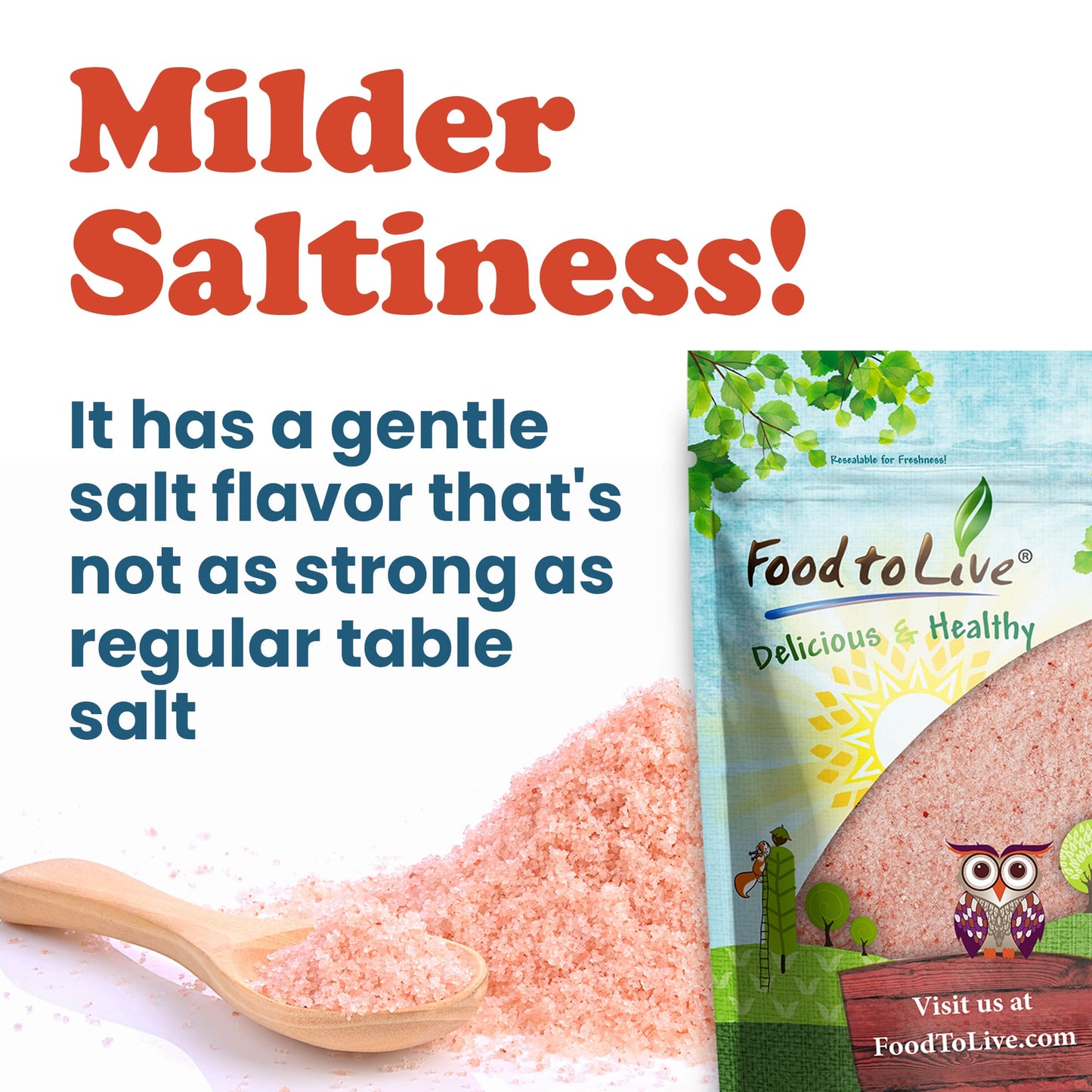 Fine Himalayan Pink Salt — Rich in Minerals, Kosher - by Food to Live