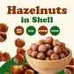 Hazelnuts in Shell - by Food to Live