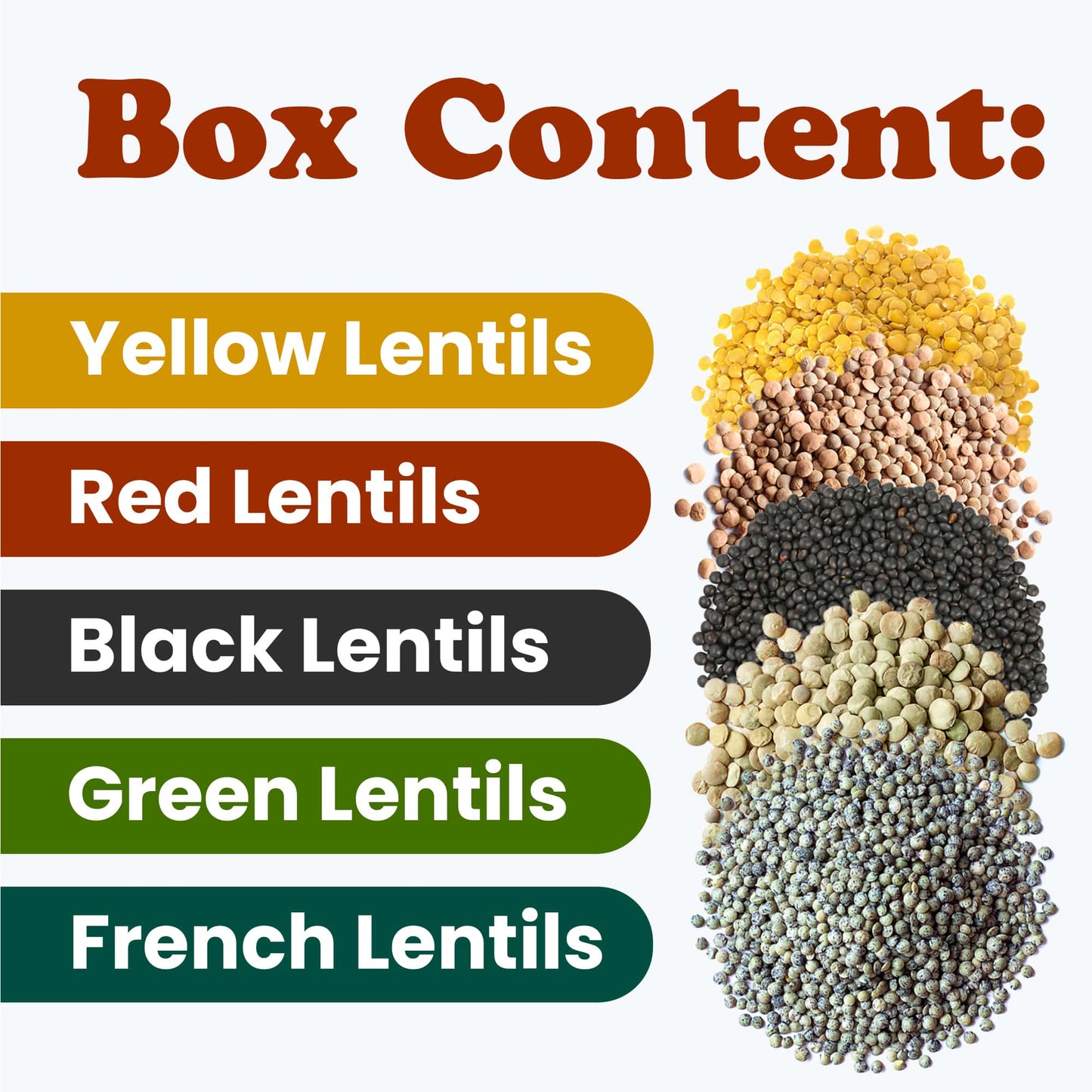 Organic Lentil Variety Set - Gourmet Selection of Premium, Healthy Pulses Including Black, Red, French, Green, and Yellow Lentils. Perfect Gift Contains 5 1-lb Bags. Non-GMO. Kosher