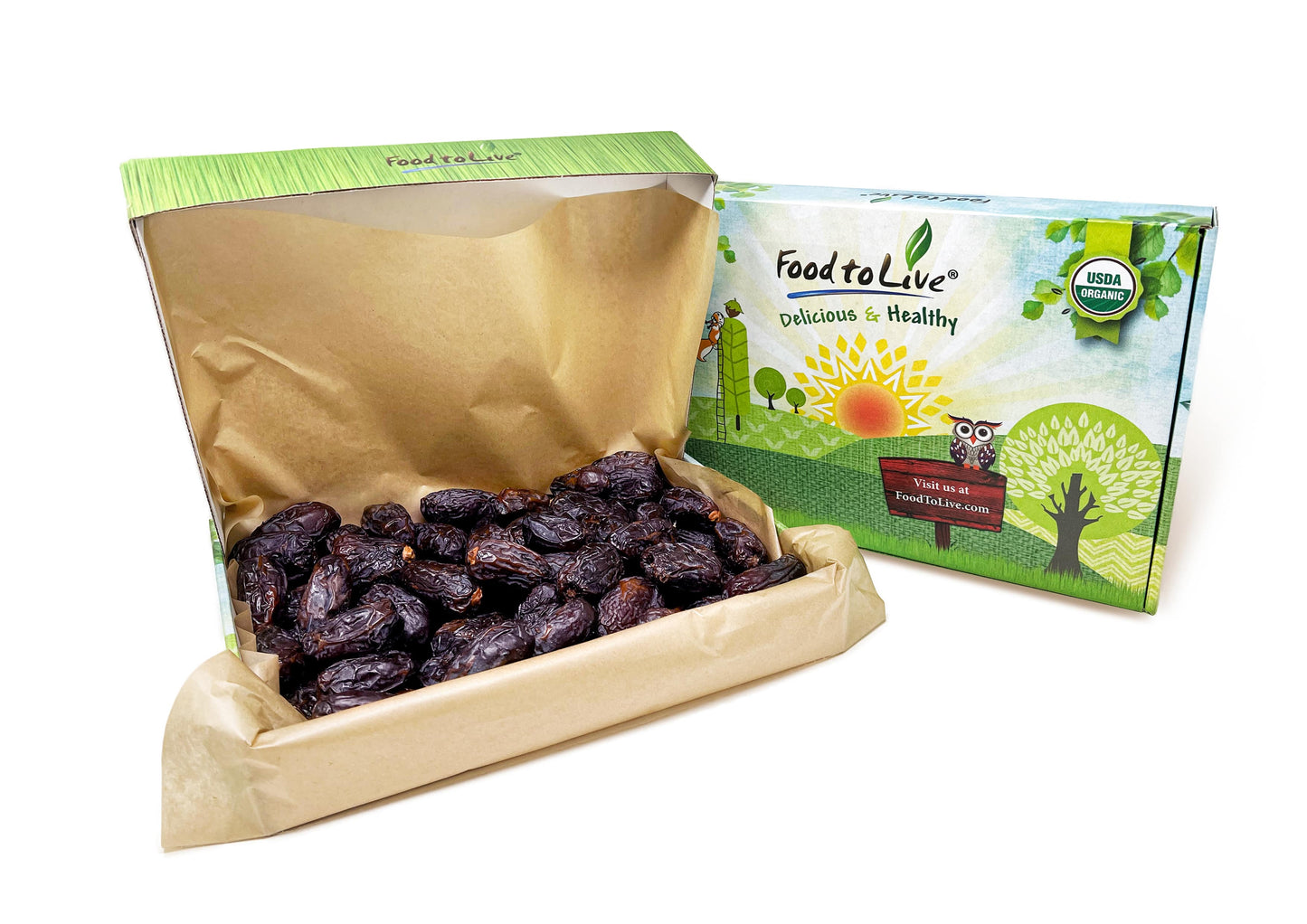 Organic Medjool Dates - by Food To Live