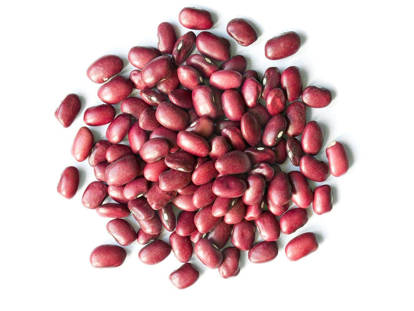 Organic Adzuki Beans — Whole Raw Dried Azuki Beans (Red Mung Beans), Non-GMO, Sproutable, Kosher, Vegan, Bulk. Rich in Minerals, Dietary Fiber and Protein. Perfect for Bean Paste, Soups, and Stews.