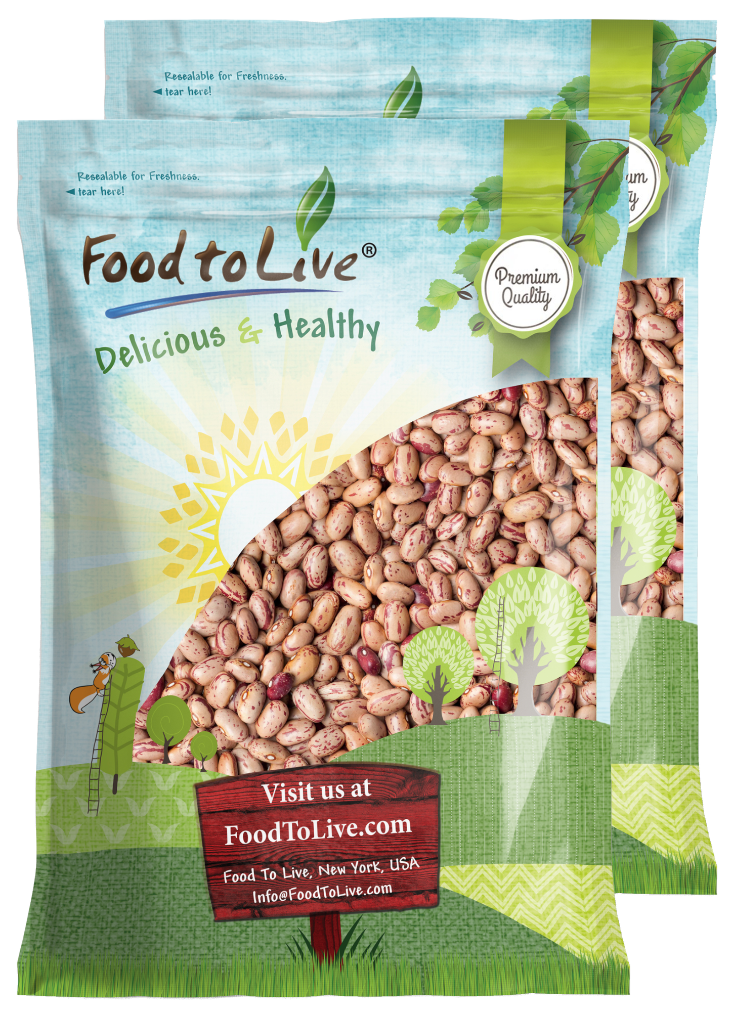 Italian Borlotti Beans – Sproutable, Vegan, Kosher, Bulk – by Food to Live