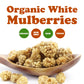 Organic Dried White Mulberries - Non-GMO, Unsulfured, Bulk - by Food to Live