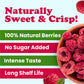 Organic Freeze-Dried Raspberries – by Food to Live