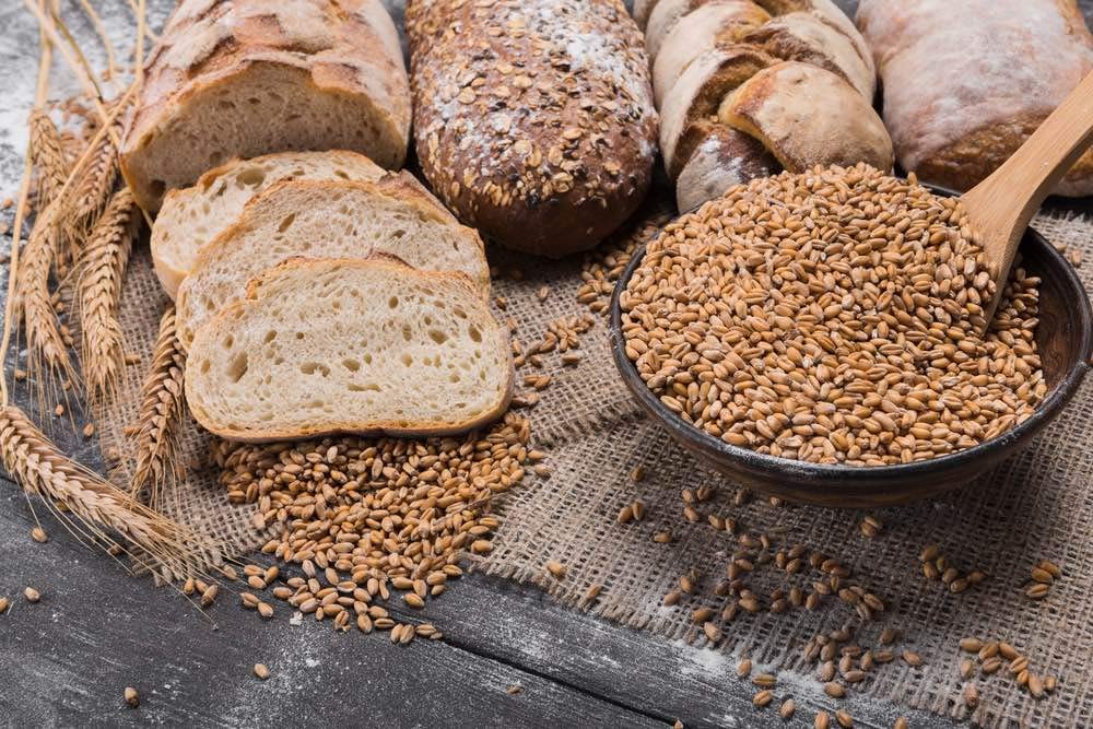 Organic Rye Berries - Non-GMO, Kosher, Raw, Bulk Seeds, Product of the USA - by Food to Live