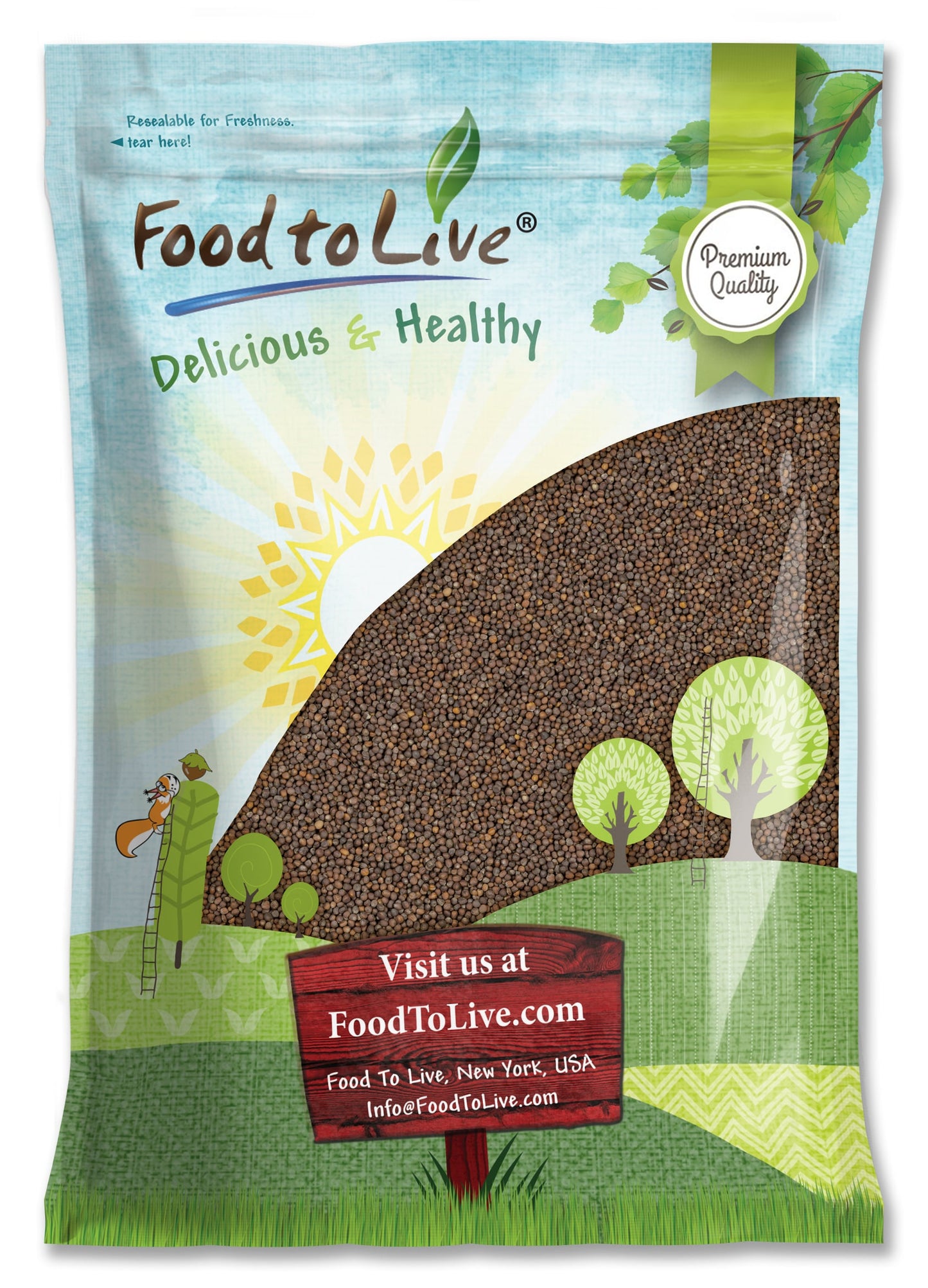 Kale Seeds — Non-GMO Verified, Great for Sprouting and Planting, High Germination Rate, Non-Irradiated, Kosher, Vegan Superfood, Sirtfood - by Food to Live