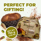 Vergani Pistachio and Chocolate Panettone - 750 g (1.65 lb)