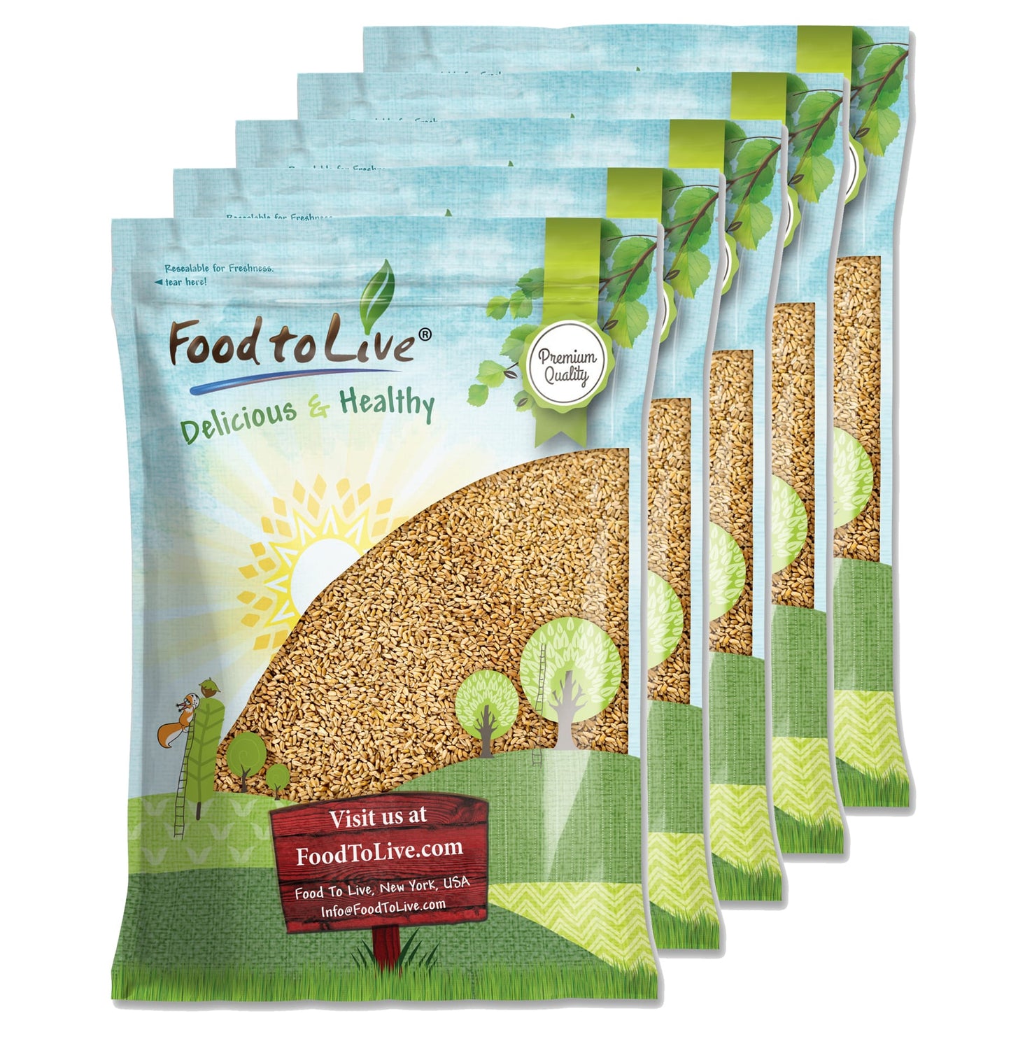 Hard Red Wheat Berries — Non-GMO Verified, Sprouting for Wheatgrass, Kosher, Raw, Vegan, Bulk - by Food to Live