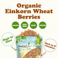 Organic Einkorn Wheat Berries – Non-GMO Ancient Whole Grain. Good Source of Protein, Fiber, and Vitamins. Low-glycemic Index. Farro Piccolo in Bulk. Great for Baking and Cooking. Kosher