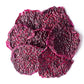 Organic Dried Red Dragon Fruit - Pitahaya, Non-GMO, Kosher, Unsweetened, Unsulfured, Healthy Snack, Bulk - by Food to Live