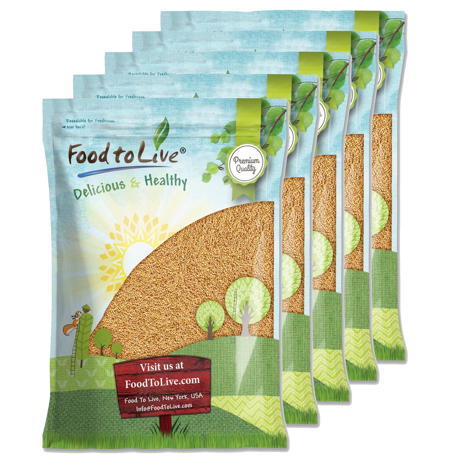 Clover Seeds for Sprouting — Non-GMO Verified, Kosher - by Food to Live