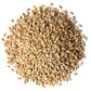 Hard Red Wheat Berries — Non-GMO Verified, Sprouting for Wheatgrass, Kosher, Raw, Vegan, Bulk - by Food to Live