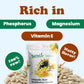 Organic Sprouted Sunflower Seeds with Himalayan Salt - by Food to Live