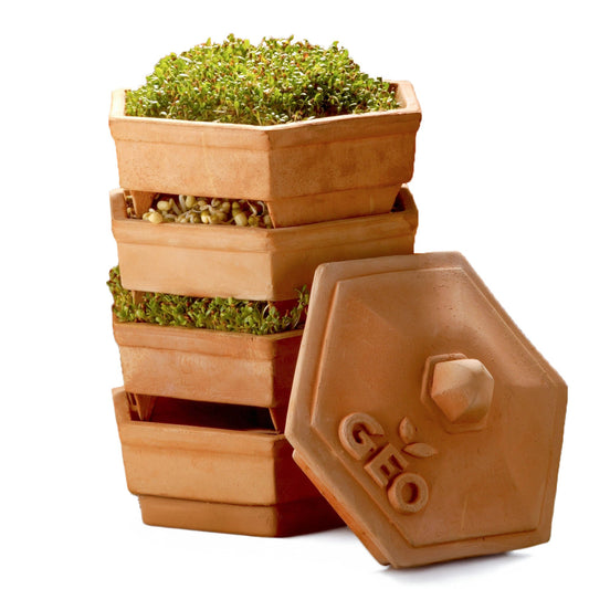 GEO Sprouter "Terradisiena"  - Natural Clay, Easy-to-Use, Durable, Eco-Friendly