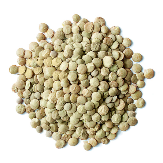 Organic Green Lentils — Whole Dry Beans, Non-GMO, Kosher, Raw, Sproutable, Bulk - by Food to Live