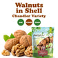 Jumbo Walnuts in Shell – California Chandler Variety. Rich in Omega-3s, Antioxidants, Dietary Fiber. Delicious Vegan Snack. Easy Crack Baking Staple. Keto-Friendly, Fresh, Raw, Kosher, Bulk