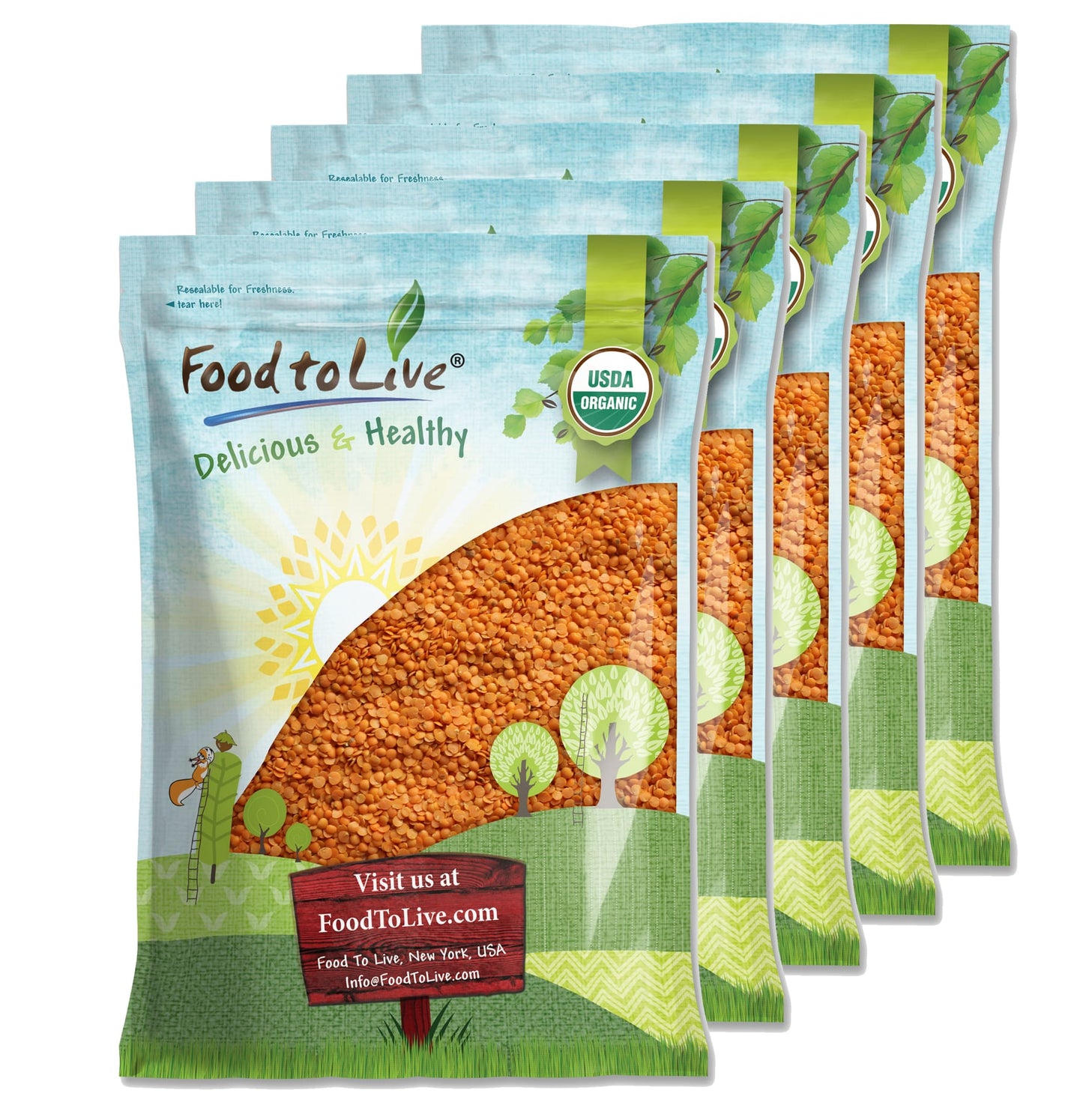 Organic Red Split Lentils - Dry Beans, Non-GMO, Kosher, Raw, Masoor Dal, Bulk - by Food to Live