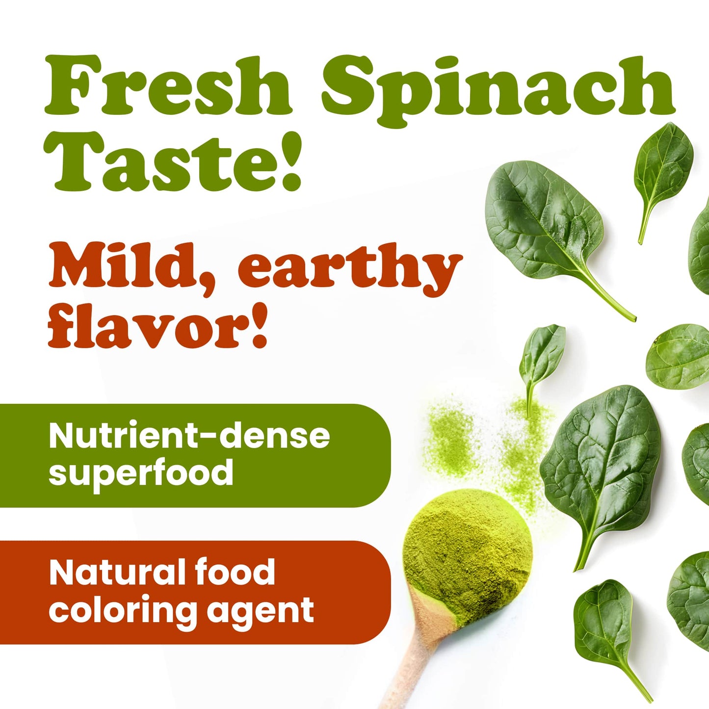 Spinach Powder – Finely Ground Dehydrated Leaves, Pure, Vegan, Kosher, Bulk. Source of Fiber, Vitamin A and Iron. Great for Smoothies, Baked Goods, Yogurt, and Oats