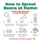 Del Colle Piemonte Cannellini Beans, 11 LBS (5 kg) – Sproutable, Vegan, Kosher