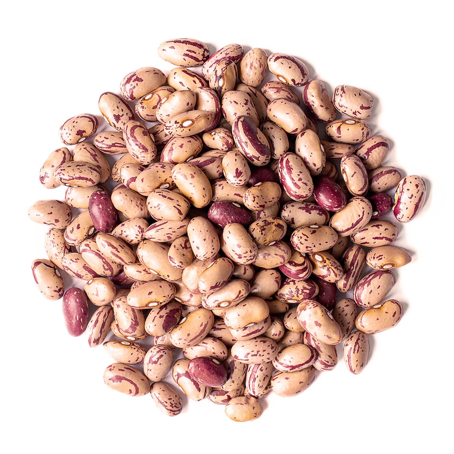 Del Colle Piemonte Cranberry Beans, 1.1 LB (500 g) –  Sproutable, Vegan, Kosher