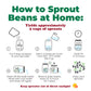 Del Colle Piemonte Cranberry Beans, 11 LBS (5 kg) – Sproutable, Vegan, Kosher