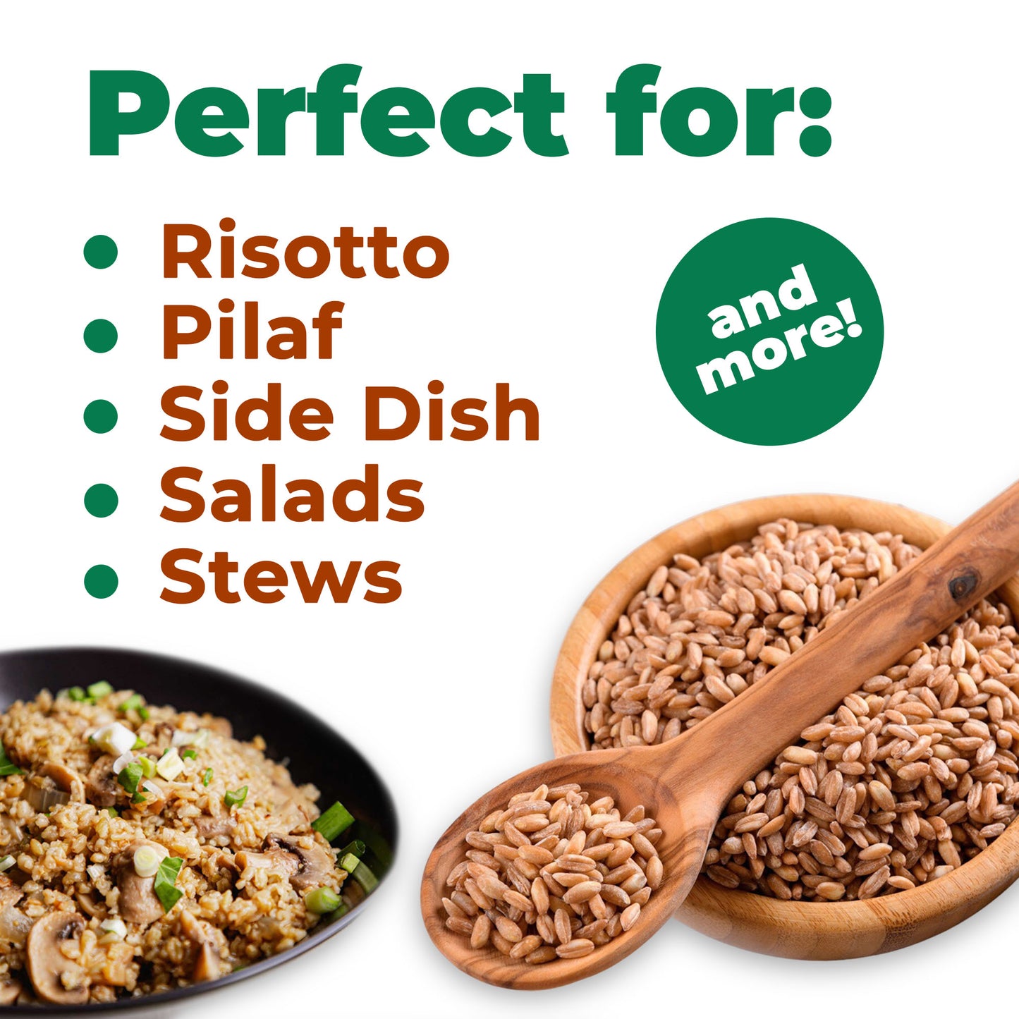 Del Colle Tuscany Pearled Farro, 1.1 LB (500 g) – Sproutable, Vegan, Kosher