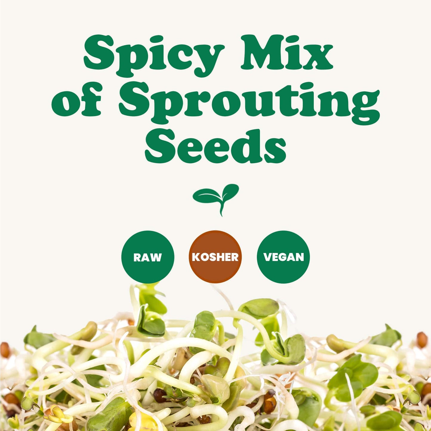 Spicy Mix of Sprouting Seeds - Broccoli, Radish, Alfalfa, Kosher, Raw - by Food to Live
