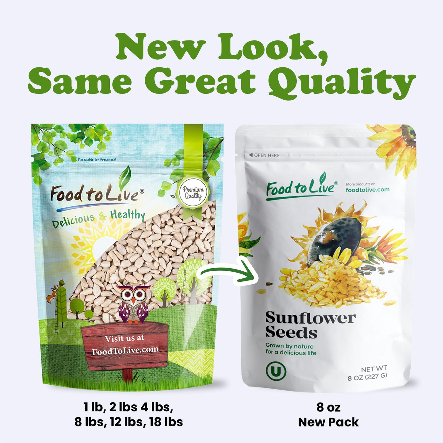 Sunflower Seeds – Kernels, No Shell, Kosher, Raw, Vegan, Sirtfood, Bulk – by Food to Live