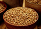 Hulled Barley Grain – 100% Whole Grain, Vegan, Great for Home Baking, Brewing, Grinding. Rich in Selenium, Fiber. Perfect for Chili, Stews, Hot Cereal, Salads, Soup. Bulk Seeds. Made in USA