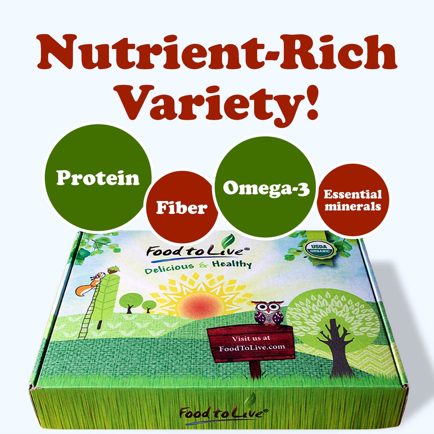 Organic Superfoods in a Gift Box - A Variety Pack of Pumpkin Seeds, Hemp Seeds, Chia Seeds, Golden Flax Seeds, Cacao Nibs - by Food to Live