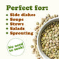 Green Lentil Whole — Non-GMO Verified, Kosher, Bulk - by Food to Live