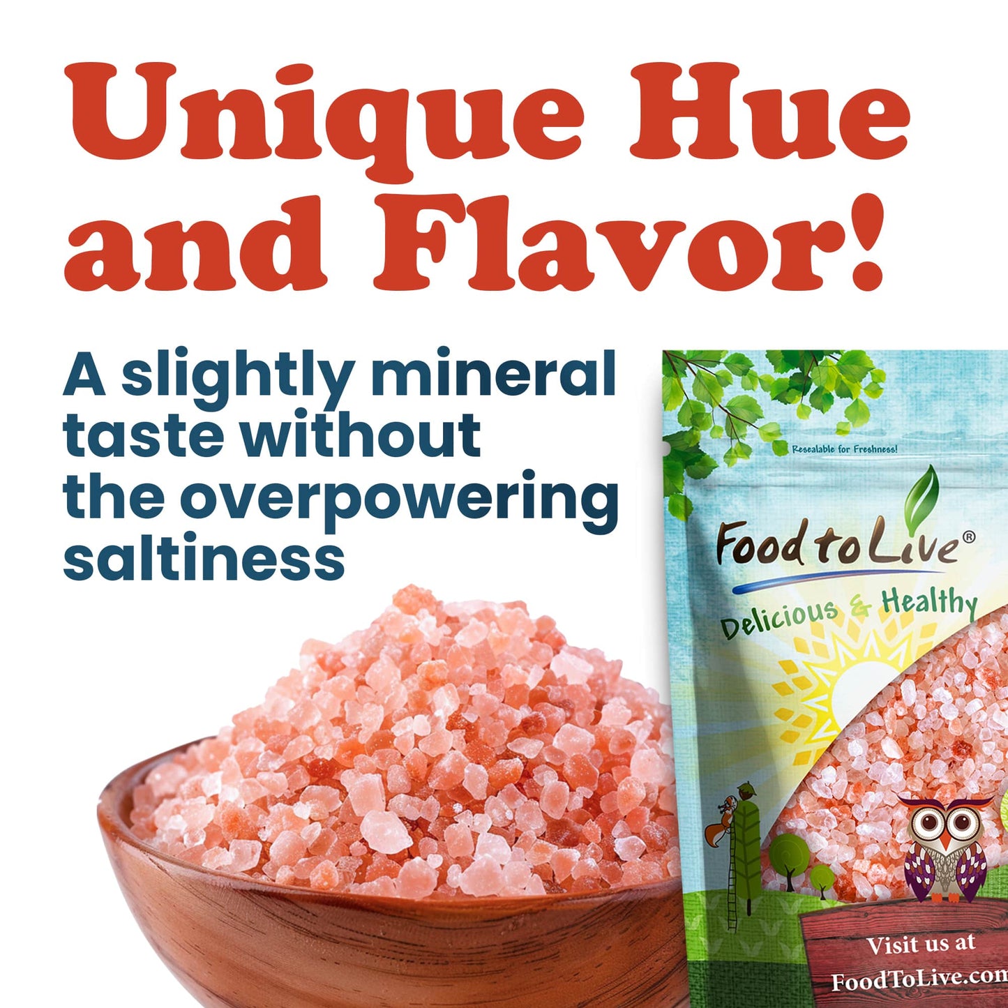 Coarse Himalayan Pink Salt — Rich in Minerals, Kosher - by Food to Live