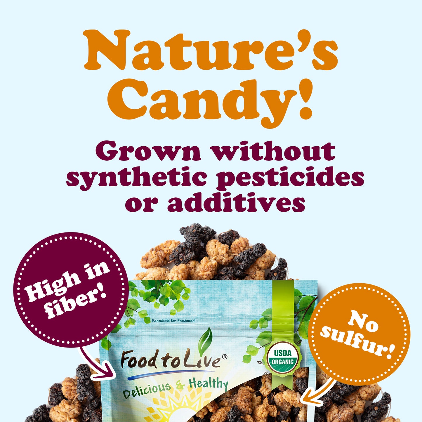 Organic Mulberry Mix - by Food to Live