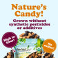 Organic Mulberry Mix - by Food to Live