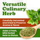 Flat Parsley Flakes – Kosher, Vegan, Bulk – by Food to Live