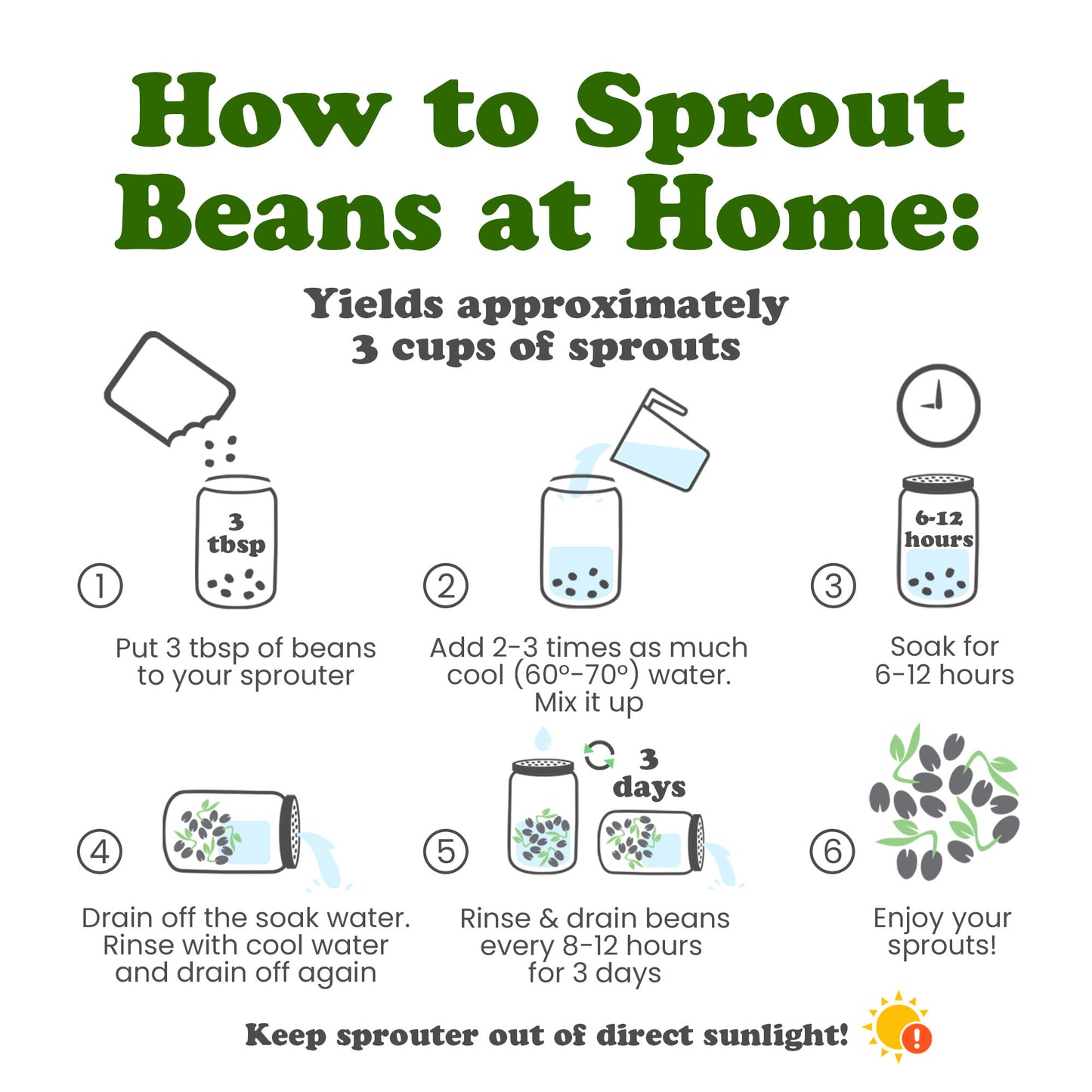 Italian Borlotti Beans – Sproutable, Vegan, Kosher, Bulk – by Food to Live