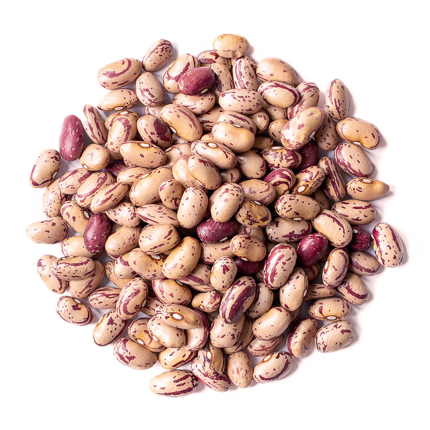 Italian Borlotti Beans – Sproutable, Vegan, Kosher, Bulk – by Food to Live