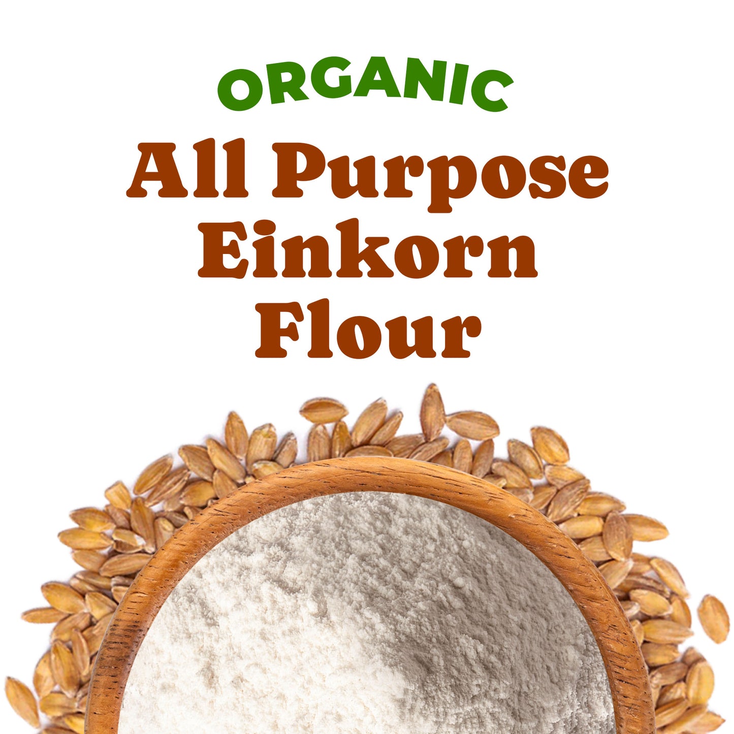 Organic All Purpose Einkorn Flour - Non-GMO, Vegan, Kosher - by Food to Live