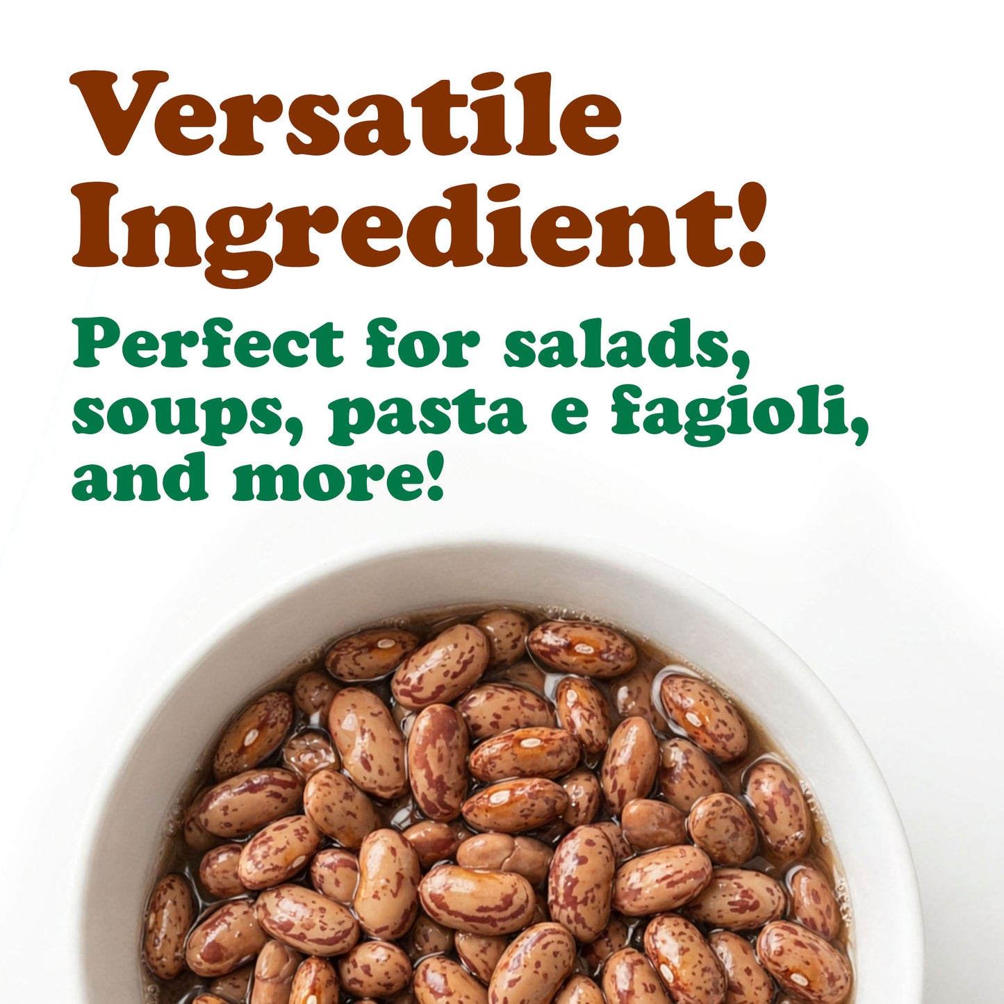 Organic Canned Borlotti Beans, 14 oz - Unsalted, Non-GMO, Vegan - by Food to Live