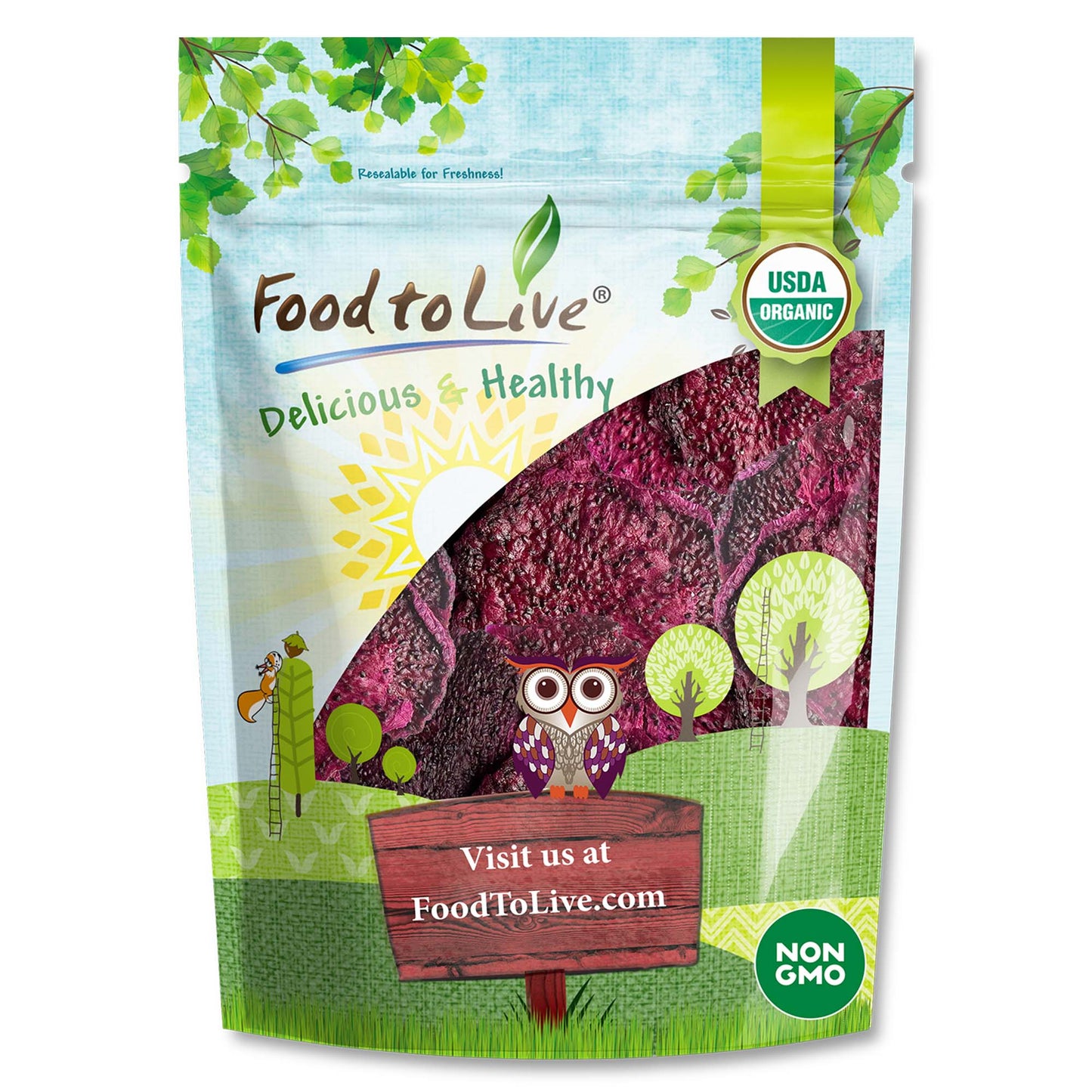 Organic Dried Red Dragon Fruit - by Food To Live
