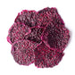 Organic Dried Red Dragon Fruit - by Food To Live