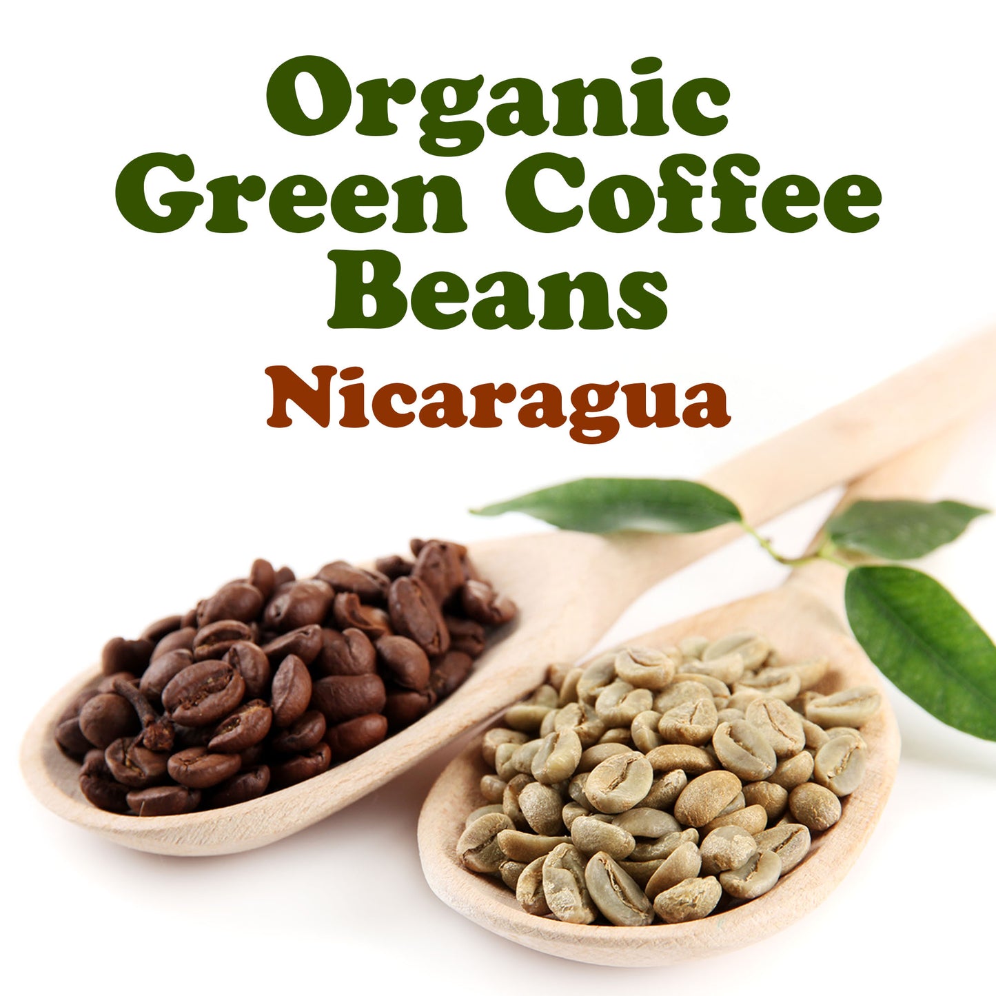 Organic Nicaragua Arabica Green Coffee Beans - by Food to Live