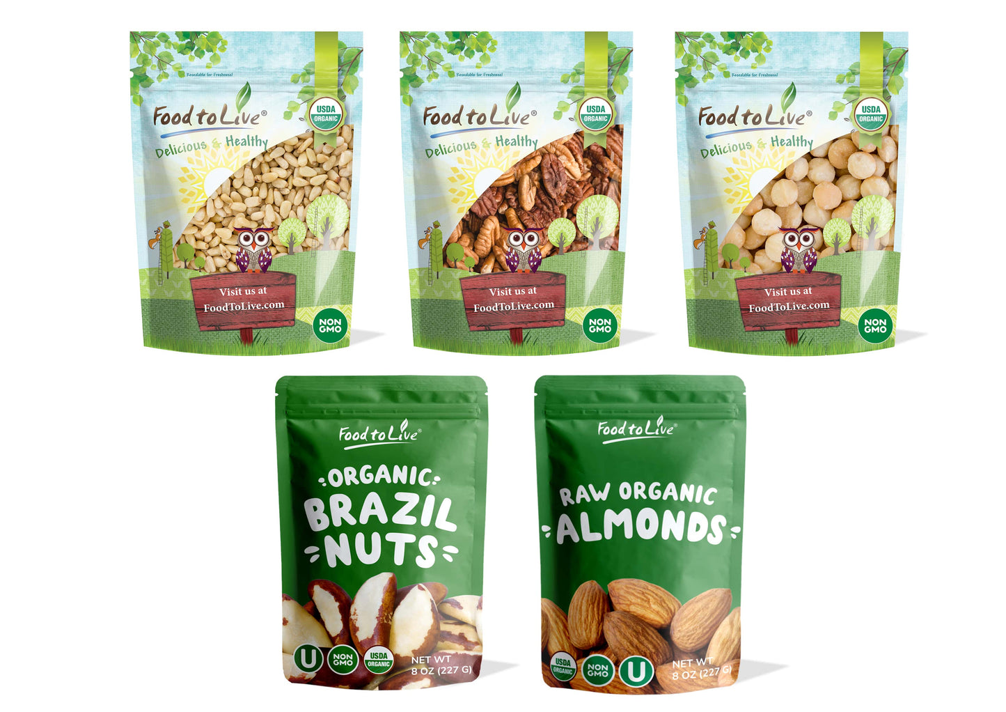 Organic Nutritious Nuts in a Gift Box - A Variety Pack of Pecans, Brazil Nuts, Macadamia Nuts, Pine Nuts and Almonds - by Food to Live