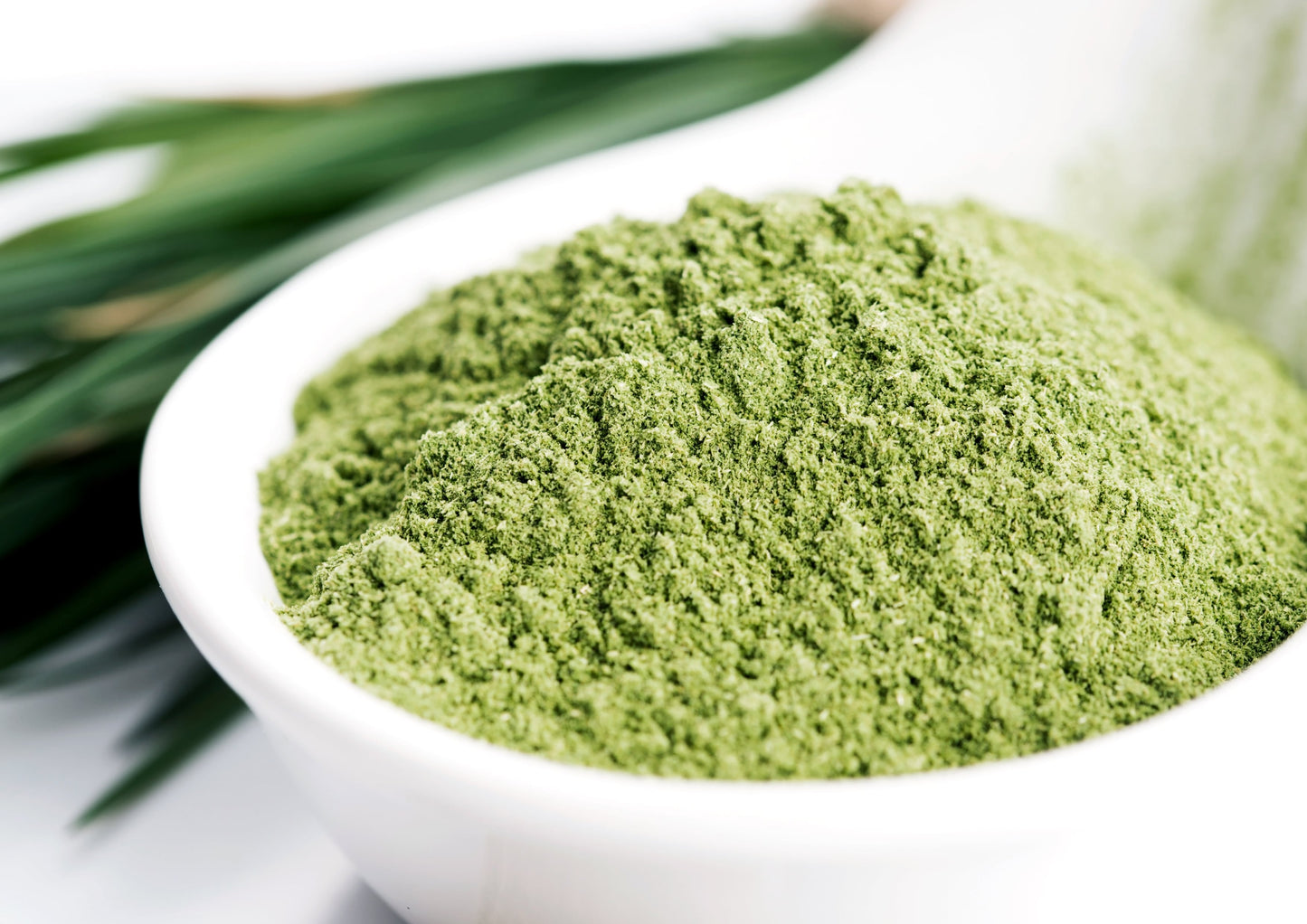 Barley Grass Powder - Ground Whole Raw Dried Young Leaves, Fine Milled, Vegan, Bulk, Great for Juices, Smoothies, Shakes, and Instant Breakfast Drinks. Good Source of Fiber and Protein