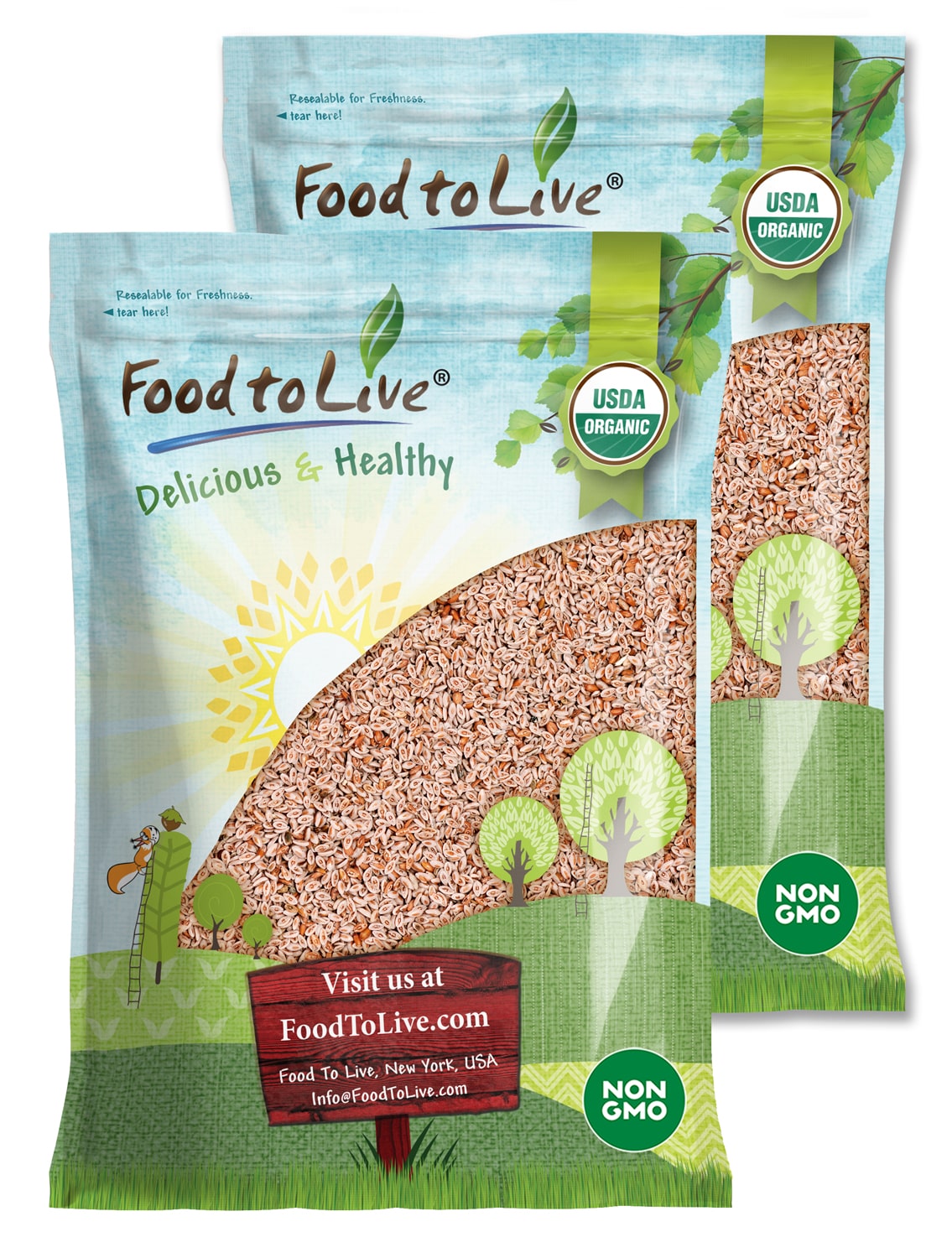Organic Whole Psyllium Seeds - Non-GMO, Vegan, Kosher, Keto Friendly, Raw, Bulk, Rich in Iron, Natural Food Thickener - by Food to Live