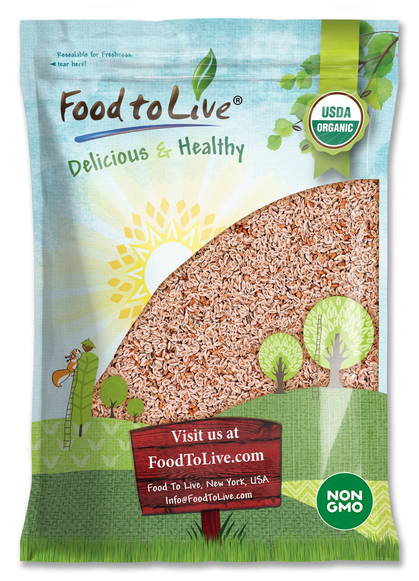 Organic Whole Psyllium Seeds - Non-GMO, Vegan, Kosher, Keto Friendly, Raw, Bulk, Rich in Iron, Natural Food Thickener - by Food to Live