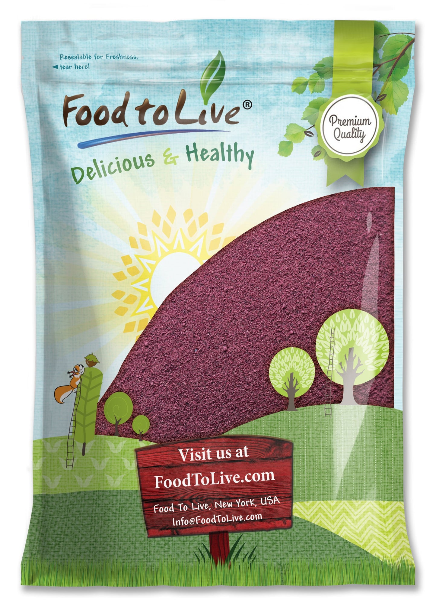 Black Elderberry Powder - Made from Raw Dried Berries, Unsulfured, Vegan, Bulk, Great for Baking, Juices, Smoothies, Yogurts, and Instant Breakfast Drinks, No Sulphites - by Food to Live
