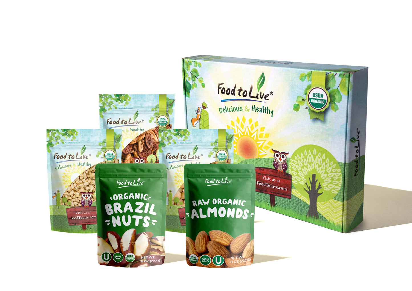 Organic Nutritious Nuts in a Gift Box - A Variety Pack of Pecans, Brazil Nuts, Macadamia Nuts, Pine Nuts and Almonds - by Food to Live