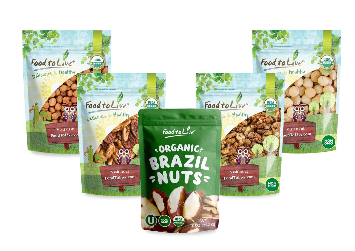Organic Keto Raw Nuts in a Gift Box - Pecans, Brazil Nuts, Macadamia Nuts, Walnuts, Hazelnuts - by Food to Live