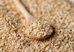 Whole Grain Oat Groats – Oat Berries in Bulk. Kosher Hulless Seeds, Rich in Protein, Soluble Fiber. Suited for Grinding. Great for Hot Cereal, Pilafs, Salads, and Stews. Vegan Hulled Kernels